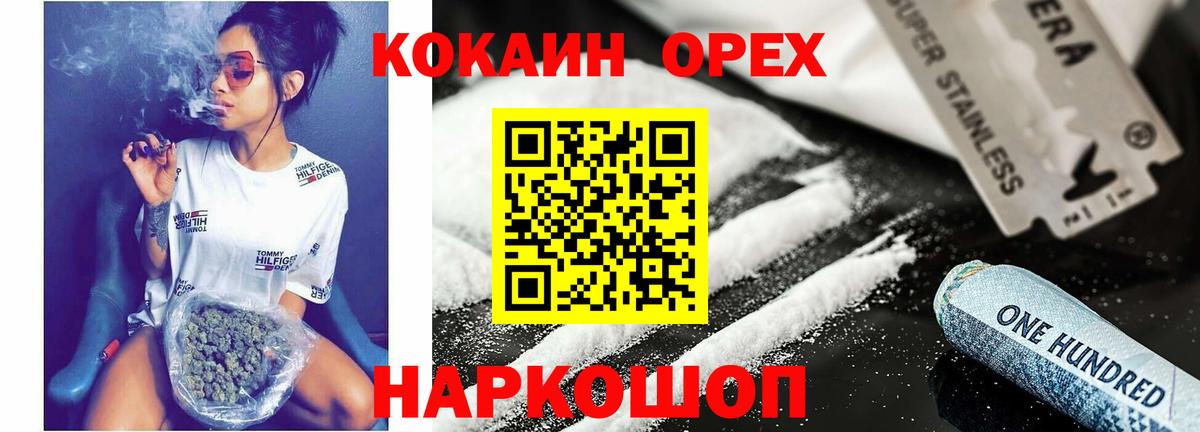 COCAIN Fish Scale Каменка