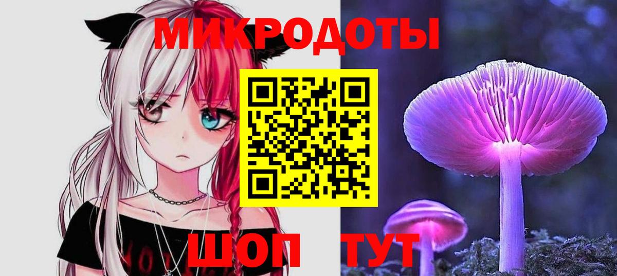 Псилоцибиновые грибы Cubensis  Вход с VPN  Псилоцибиновые грибы ЛСД  Каменка 