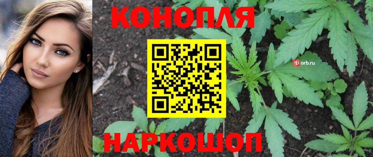 Каменка  Шишки марихуана гибрид  Вход с VPN  Бошки марихуана планчик  Шишки марихуана тримм 